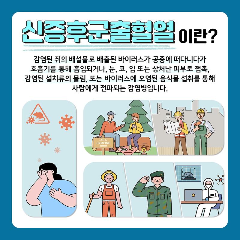 쥐 매개 감염병 예방 안내